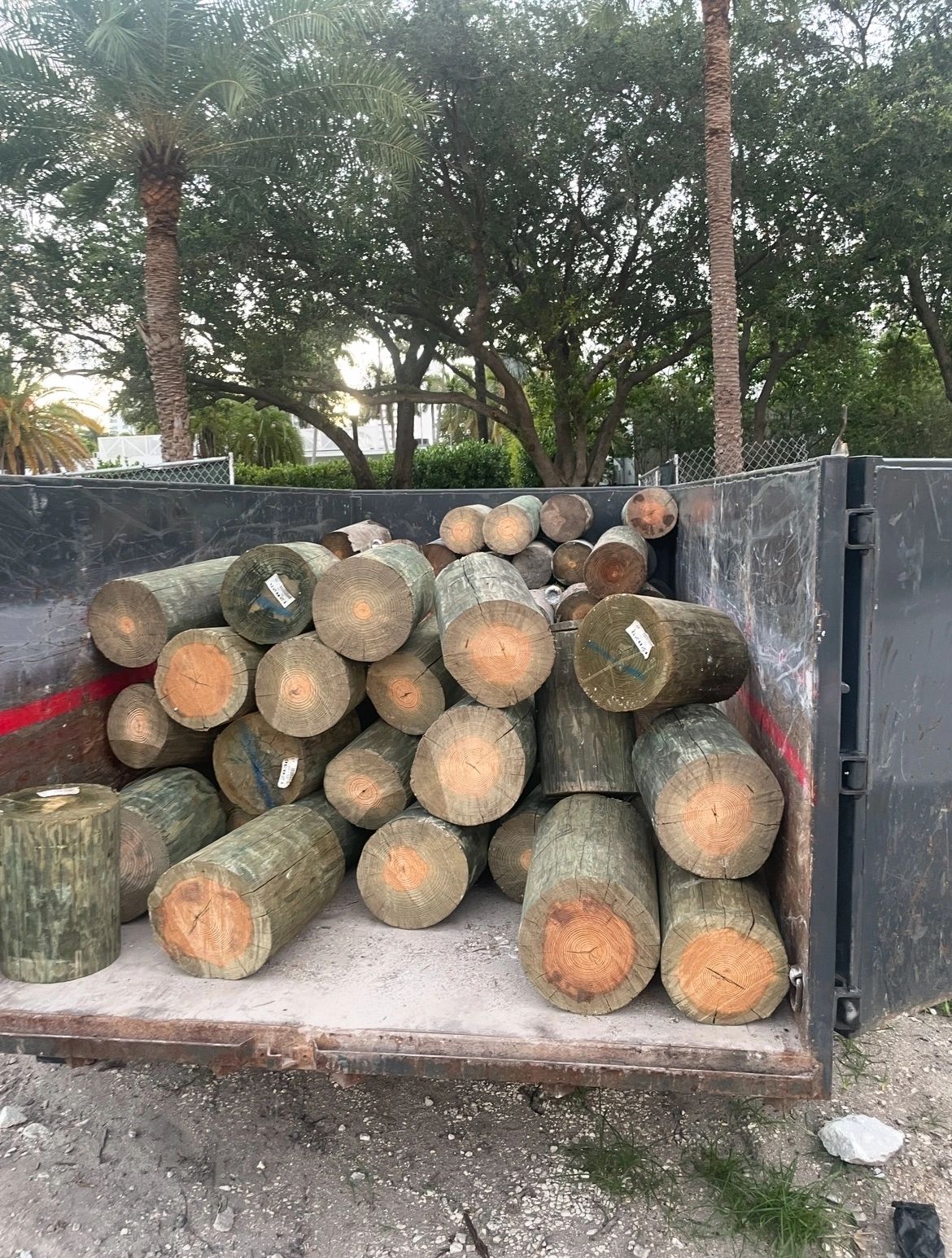 Truck bed filled with wooden logs